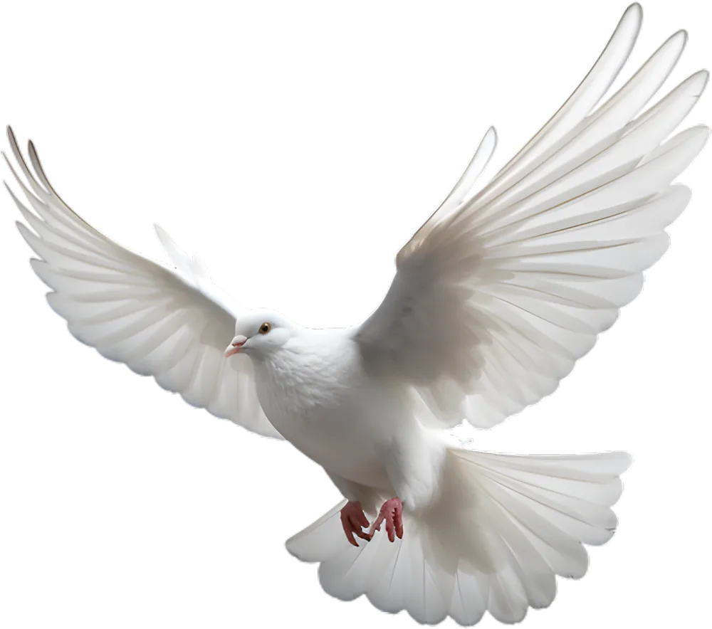 魔術師-鄒尚義-大熊葛格-台中魔術師,魔術表演,魔術秀,魔術商演,氣球秀,活動主持人,兒童魔術,尾牙魔術,川劇變臉,腹語表演_240222_material_02